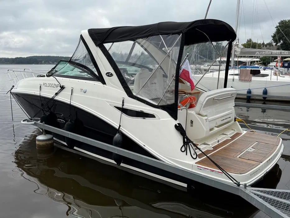 searay_2310251