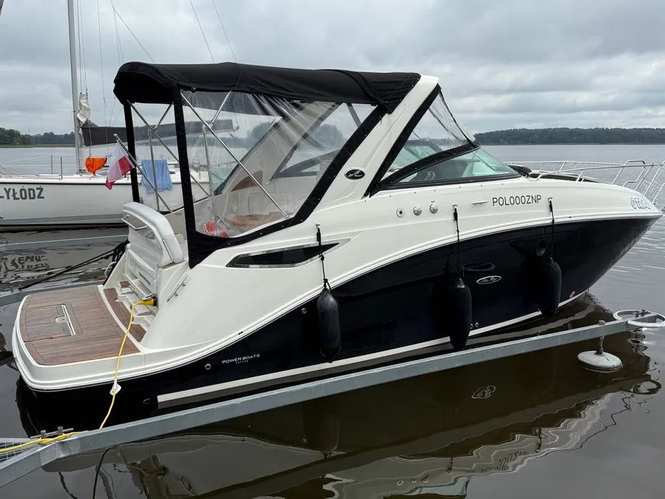 searay_2310253
