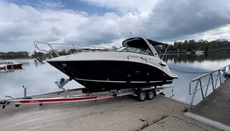 searay_2310254